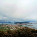 vrulja