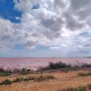 rdeče morje, ne camargue