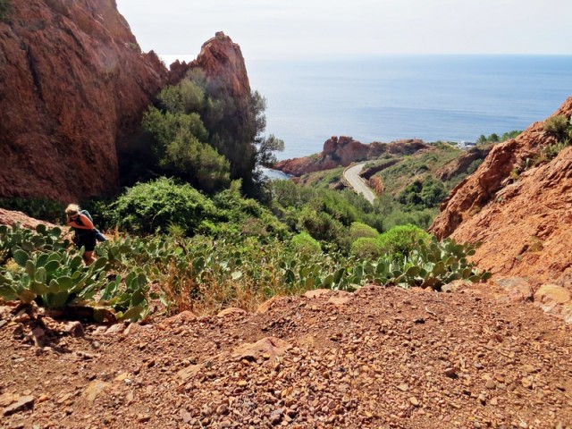 Esterel, dostop začinijo kaktusi