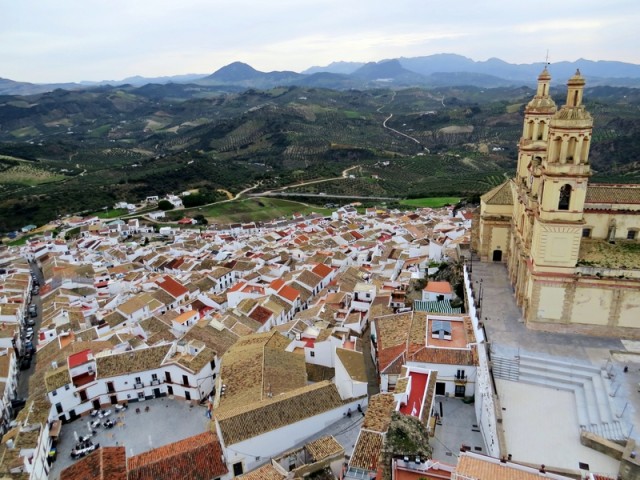 Olvera