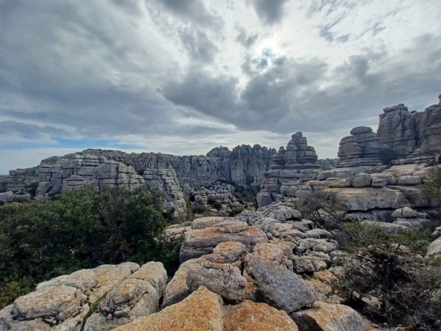 Tornillo del torcal de antequera