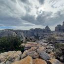 tornillo del torcal de antequera