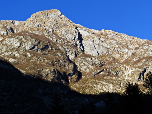 Timijan1 - foto