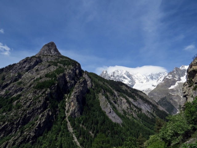 Razgled bo, mont chetif in sramežljiv mont blanc