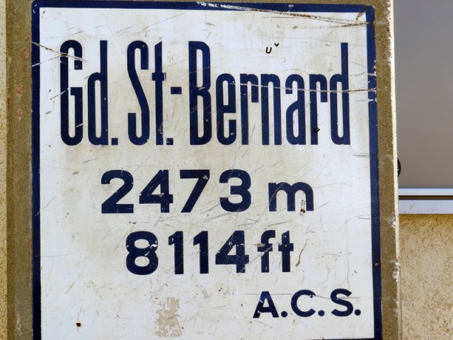 Bernard - foto