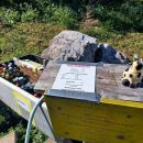 samopostrežni biffe