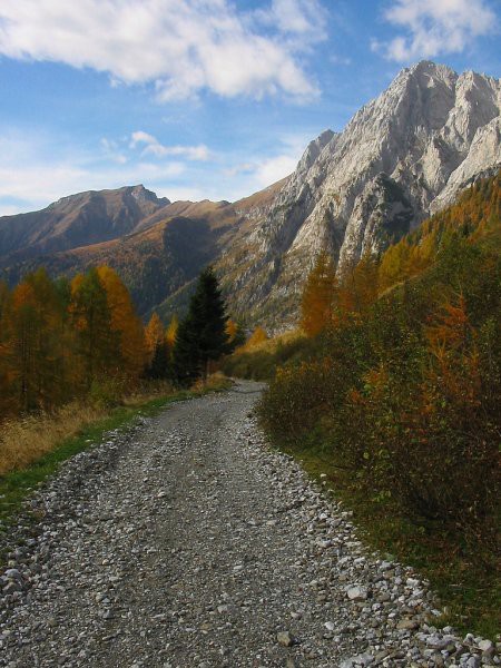 Carniola - foto povečava