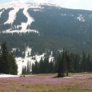 Koralpe