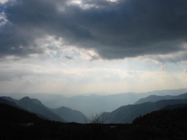 žarki