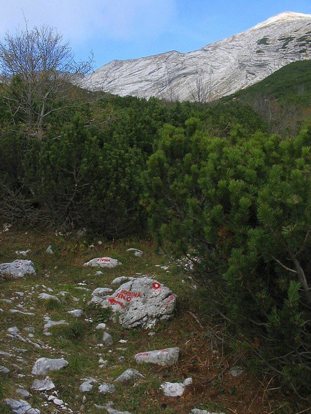 križišče poti, v ozadju stena in vrh Meje