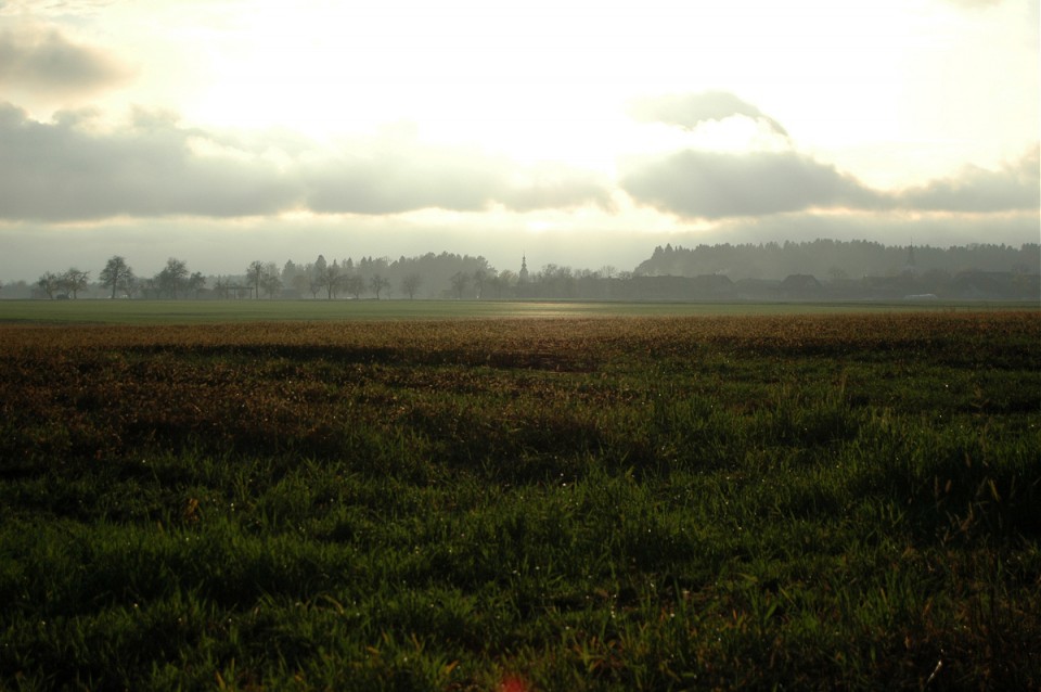 November - foto povečava