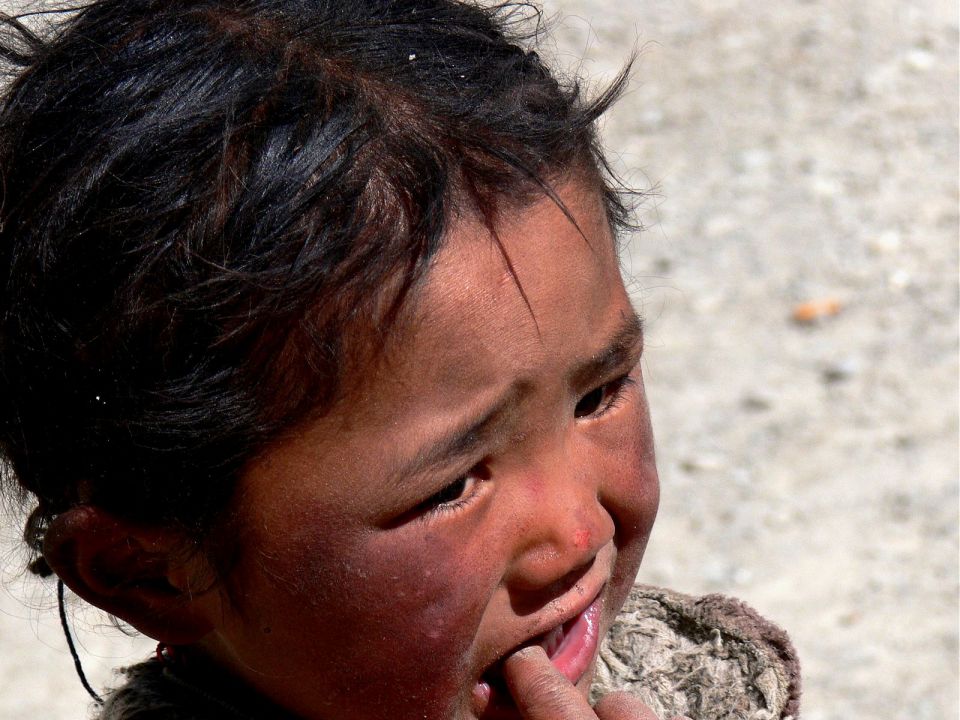 Tibet 2010 - foto povečava
