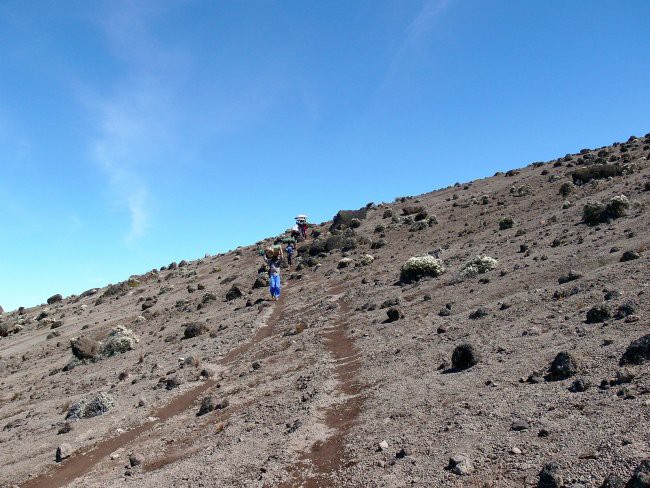 Mt. Kenya & Kilimanjaro - foto povečava