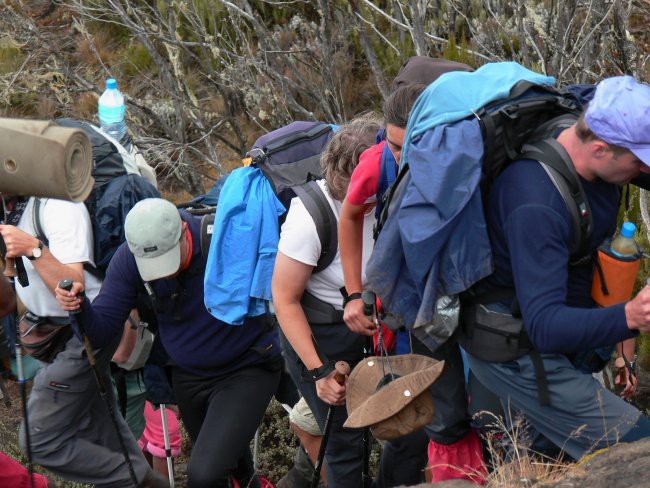 Mt. Kenya & Kilimanjaro - foto povečava