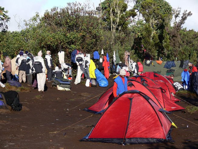 Mt. Kenya & Kilimanjaro - foto povečava