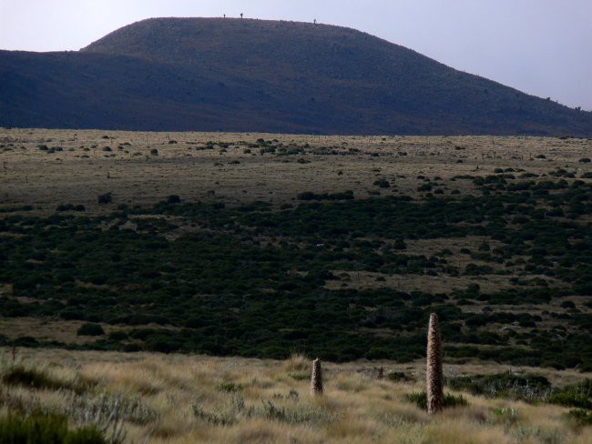 Mt. Kenya & Kilimanjaro - foto povečava