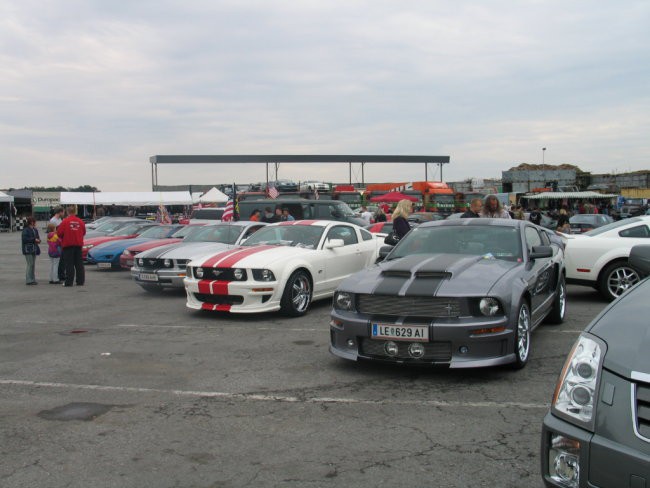 US car meeting-Graz 2008 - foto povečava