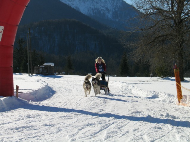 Sled dog 2007 - foto