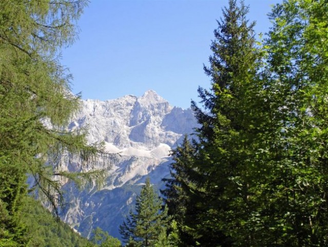 Panoramska-Logarska - foto