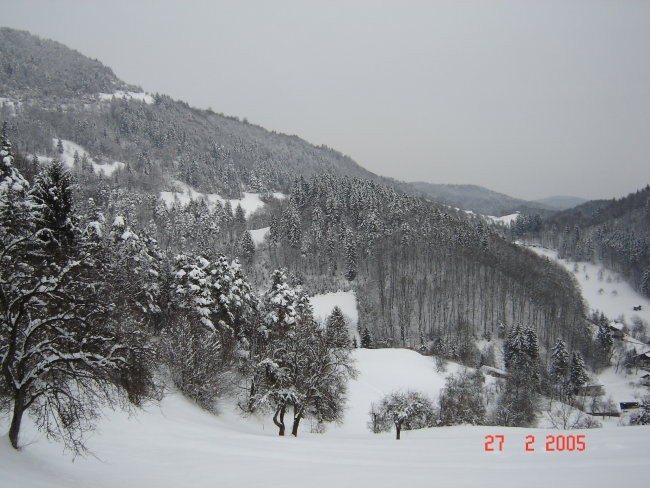 Koreno-okolica - foto povečava