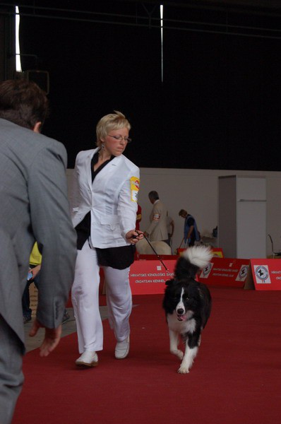 EURO DOG SHOW 8.6.2007 
- BEST JUNIOR (najlepši mladi pes)
- CROATIAN JUNIOR CHAMPION (h