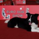 EURO DOG SHOW 2007
