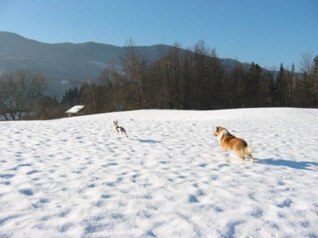 Zimske radosti 2005 - foto