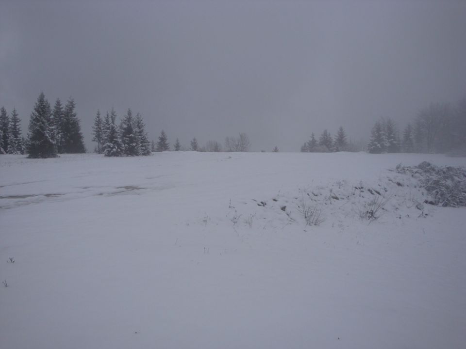 Sneg 5.12.2009 - foto povečava