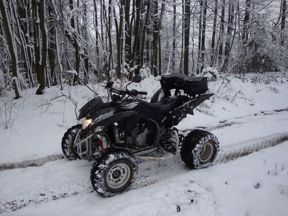Sneg 5.12.2009 - foto povečava