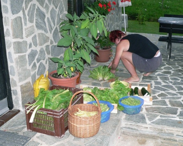 Špela sortira pridelke z najinega vrta.