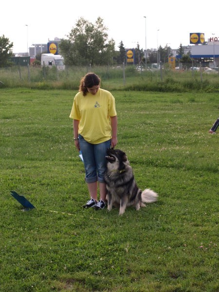 Zaključek tečaja RO I.,28.05.2008 - foto