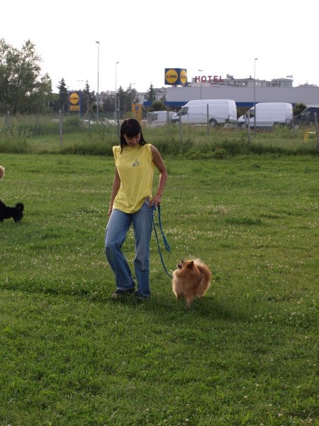 Zaključek tečaja RO I.,28.05.2008 - foto povečava