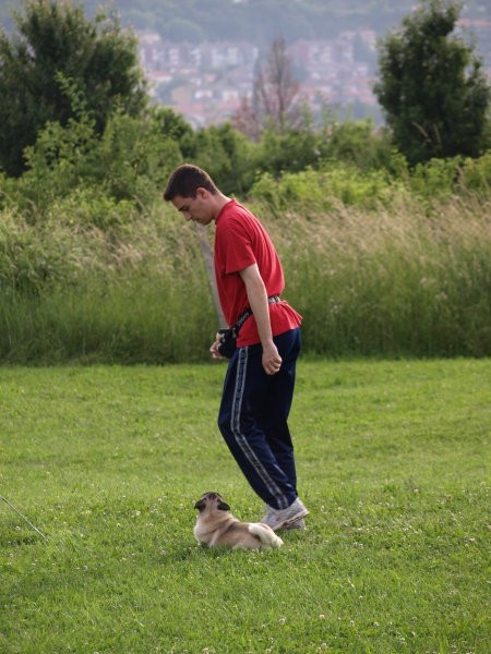 Zaključek tečaja RO I.,28.05.2008 - foto povečava