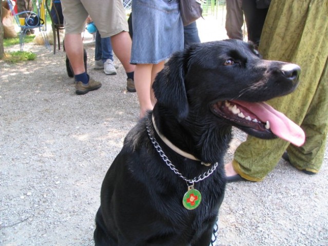 2.DRŽAVNA TEKMA RO KD Šmarna gora , 13.05.200 - foto