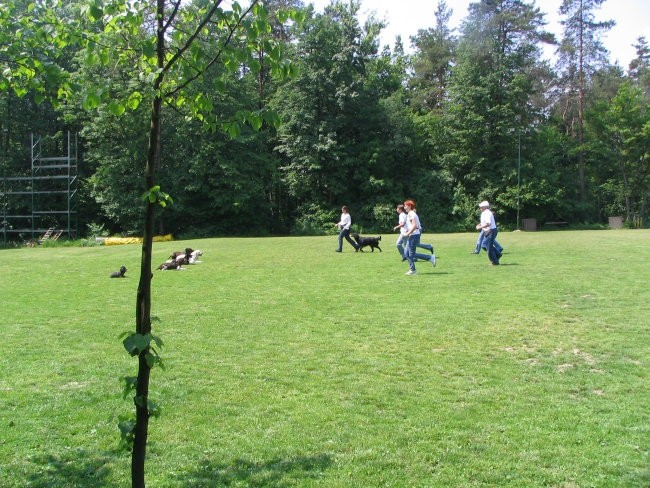 2.DRŽAVNA TEKMA RO KD Šmarna gora , 13.05.200 - foto povečava