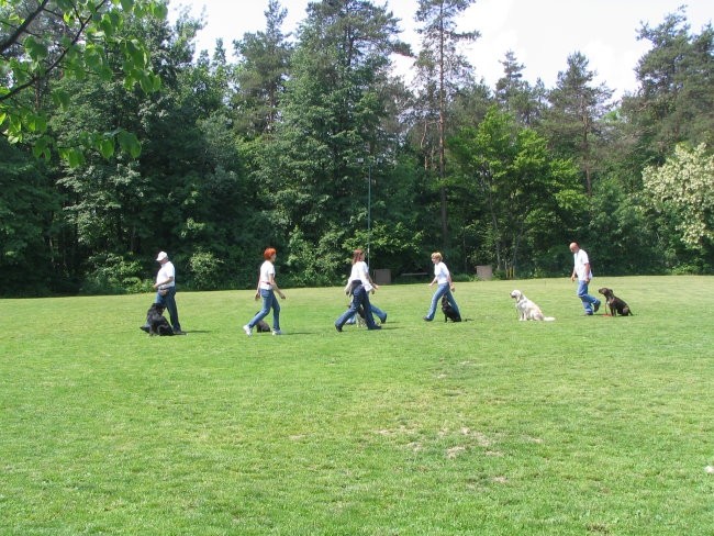 2.DRŽAVNA TEKMA RO KD Šmarna gora , 13.05.200 - foto povečava