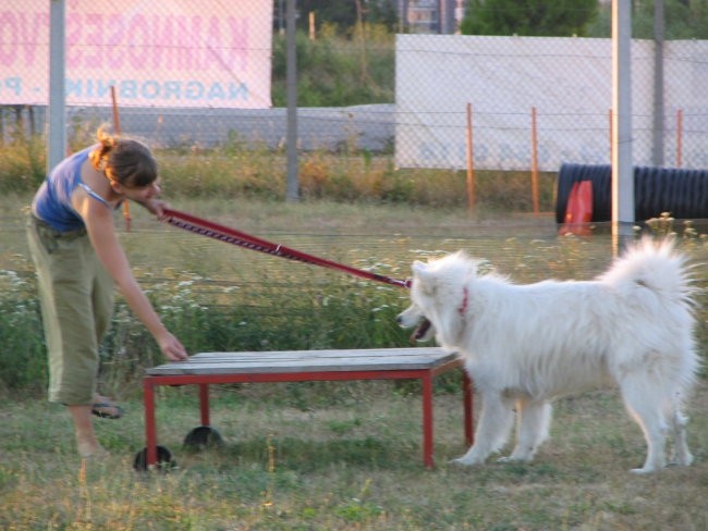 Zaključna ura Prvega tečaja ROO,01.08.2007 - foto povečava