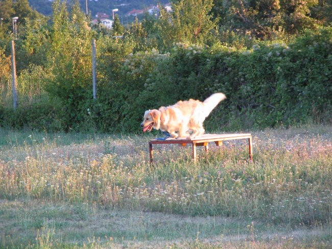 Zaključna ura Prvega tečaja ROO,01.08.2007 - foto povečava