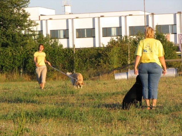 Zaključna ura Prvega tečaja ROO,01.08.2007 - foto