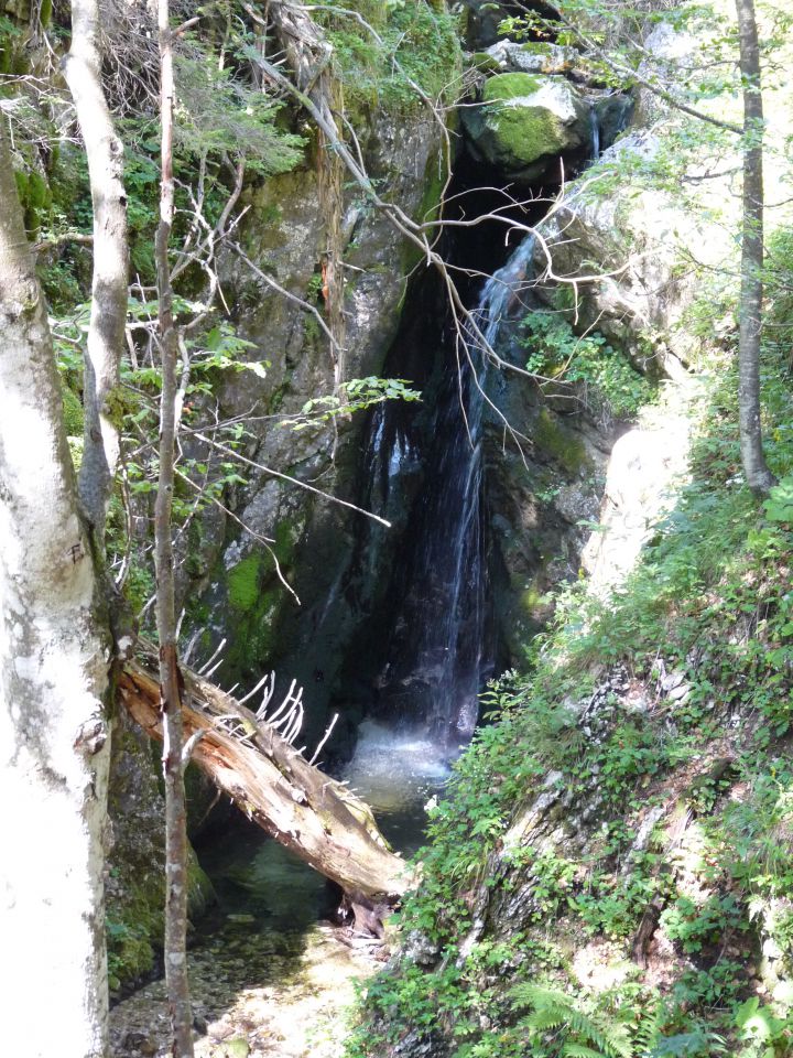 Konjščica 21.8.2011 - foto povečava