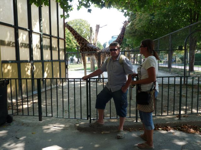 Dunaj 2011 - foto