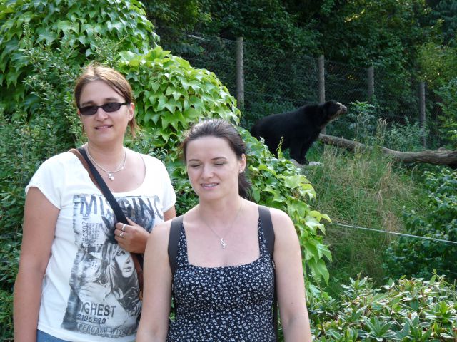 Dunaj 2011 - foto