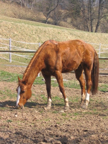 Kako fino greje sonček