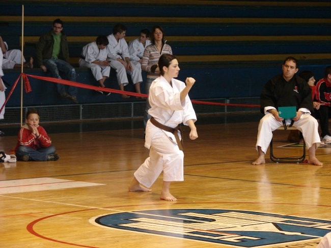 Državno prvenstvo JKA 2008 - Slovenj Gradec - foto povečava