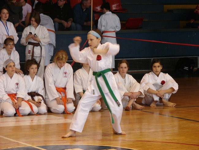 Državno prvenstvo JKA 2008 - Slovenj Gradec - foto povečava