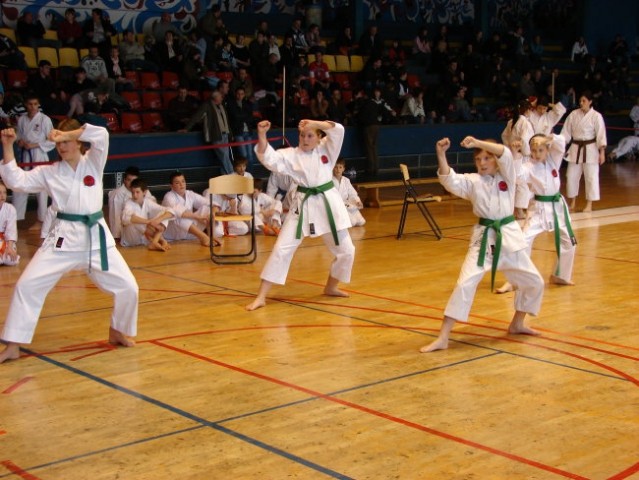 Državno prvenstvo JKA 2008 - Slovenj Gradec - foto