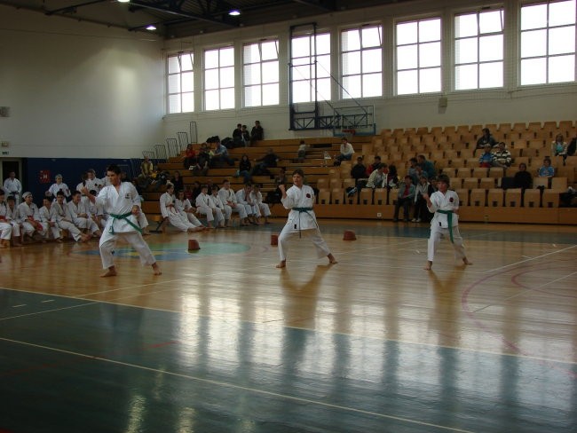 Izpiti Kyu stopenj Šempeter pri Gorici 2008 - foto povečava