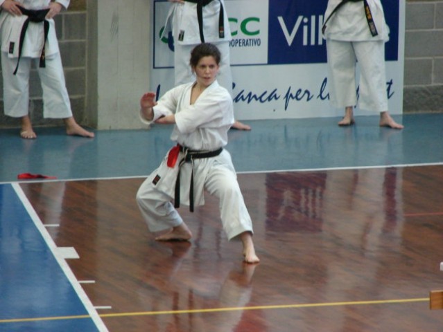 Turnir v Gradišču pri Gorici 2008 - foto