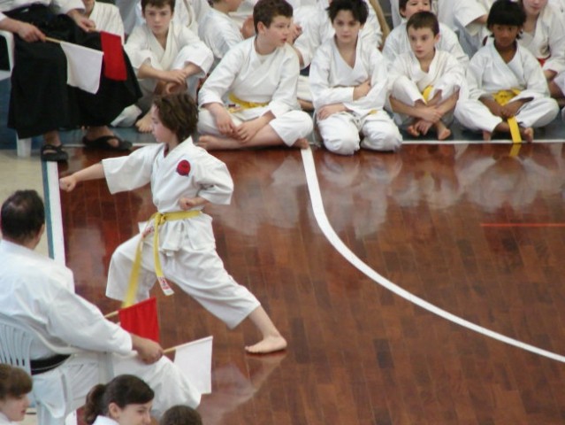 Turnir v Gradišču pri Gorici 2008 - foto