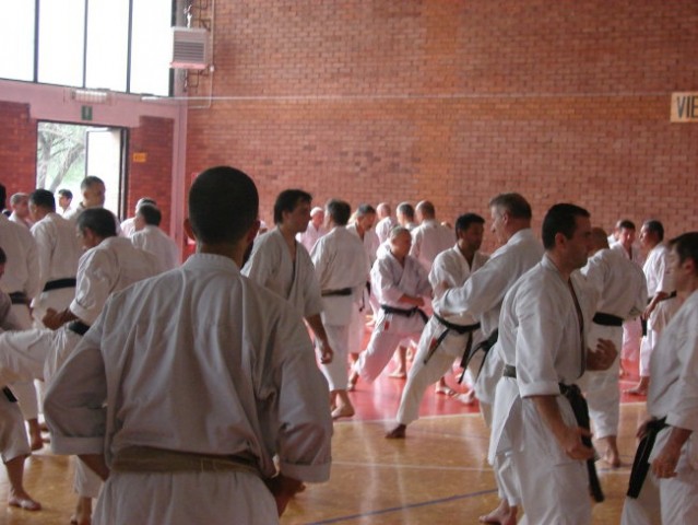 Strokovni seminar JKA Italije v Milanu 2008 - foto